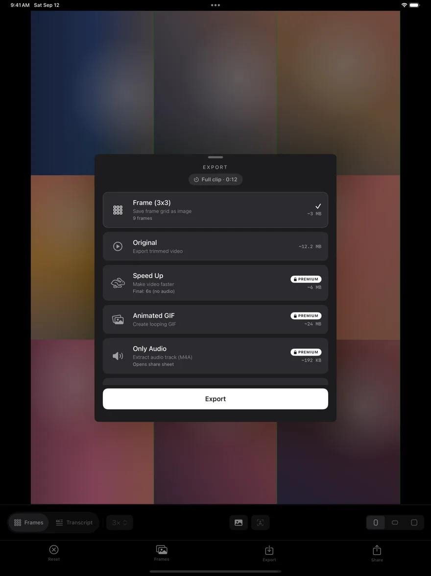 Export presets on iPad, shown as a sheet over the frame grid